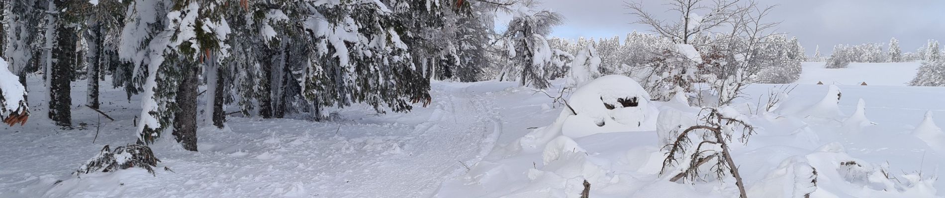 Tour Nordic Walking La Tour-d'Auvergne - 04/01/2021 l'asthme (63) - Photo