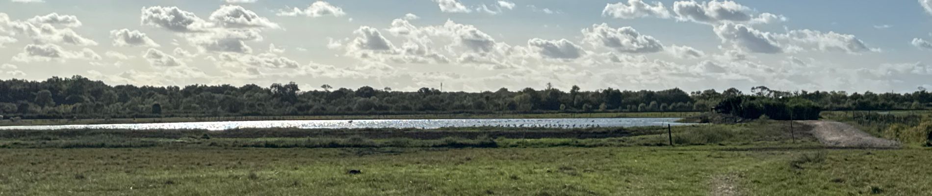 Tocht Hybride fiets Vendays-Montalivet - Vendays - Larnac - Queyrac - Photo