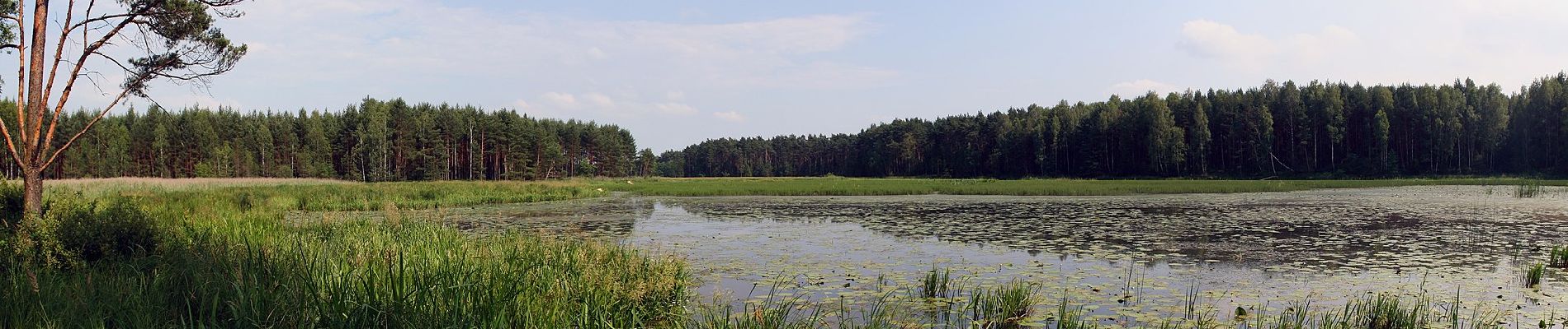 Trail On foot Unknown - Szlak Powstań Śląskich - Photo