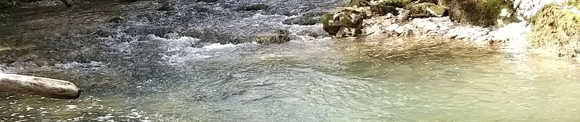 Tour Wandern Coteaux du Lizon - vallée du Lison - Photo