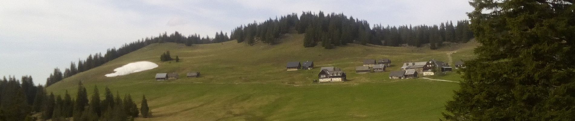 Randonnée A pied Gemeinde Neuberg an der Mürz - Scheiterboden-Hinteralm - Photo