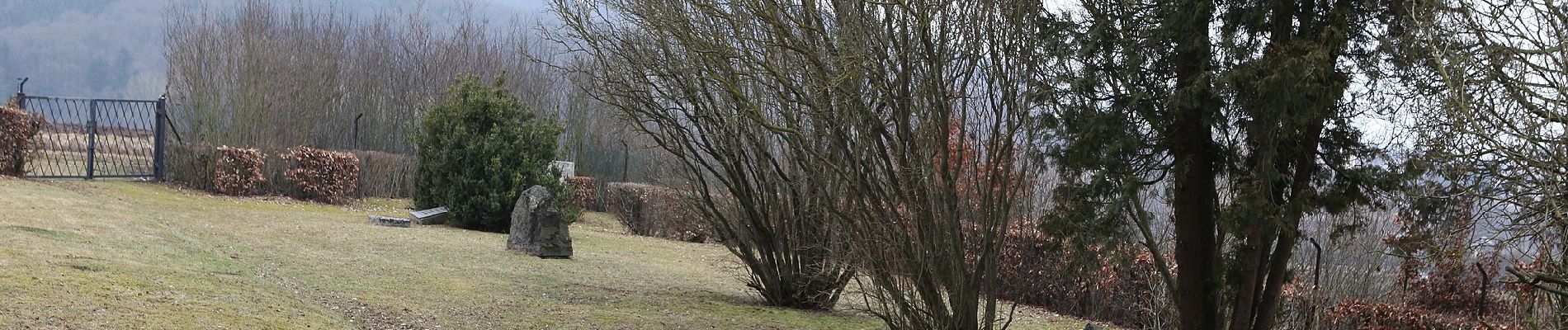 Trail On foot Lichtenfels - Nordic Walking LIF rosa - Photo