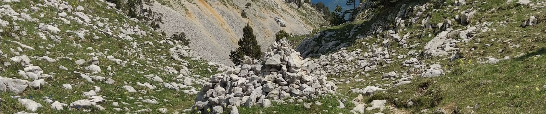 Excursión Senderismo Saint-Michel-les-Portes - Pas des Bachasson. Boucle - Photo