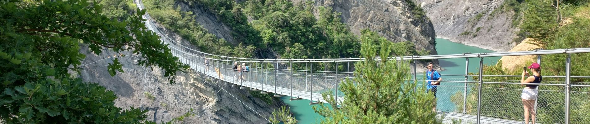 Trail Walking Treffort - Les passerelles himalayennes du lac Monteynard-Avignonnet - Photo