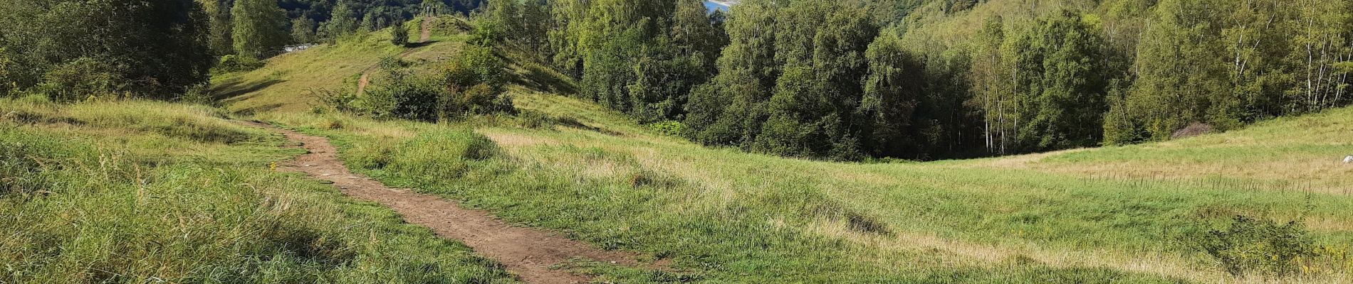 Tocht Stappen Andenne - Seilles - Balade du chant d'oiseau n° 6 (AD28) - Photo