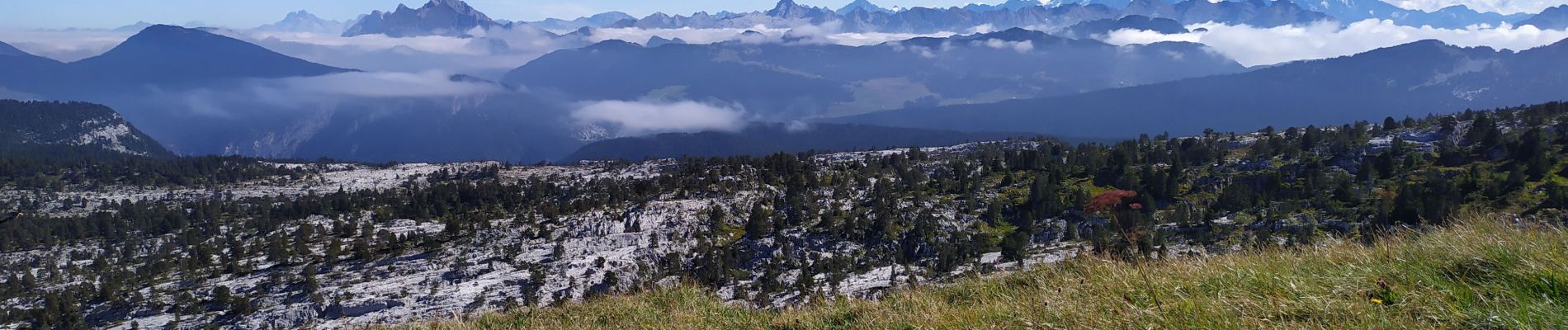 Tour Wandern Fillière - la tête du Parmeka  - Photo