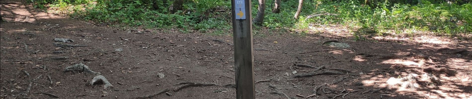 Randonnée Marche Autrans-Méaudre en Vercors - la Buffe - Photo