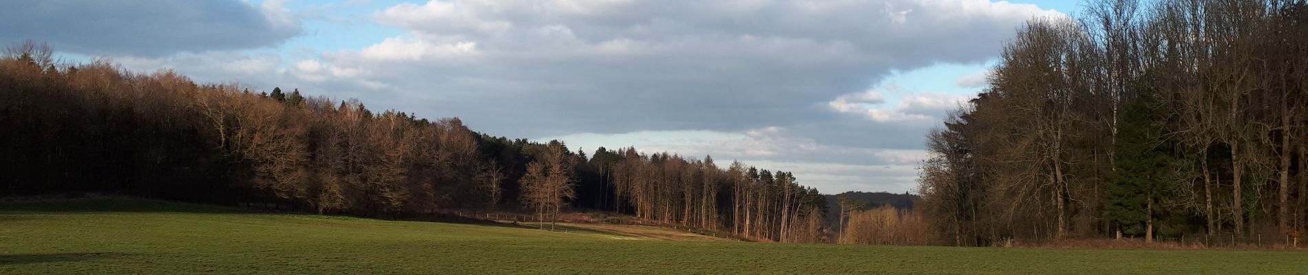 Tocht Stappen Durbuy - Barvaux - Photo