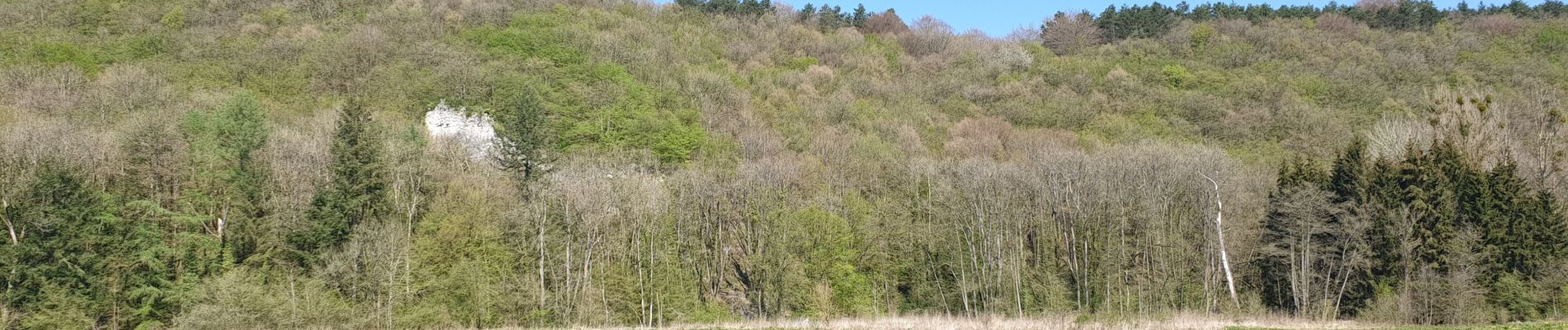 Tocht Stappen Viroinval - Marche Adeps à Dourbes - Photo