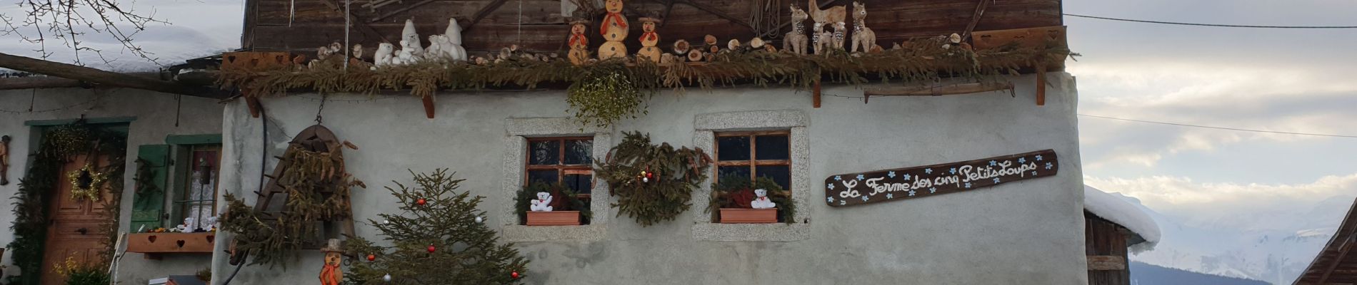 Randonnée Raquettes à neige Combloux - Raquettes Intages-Prapacot 74 - Photo