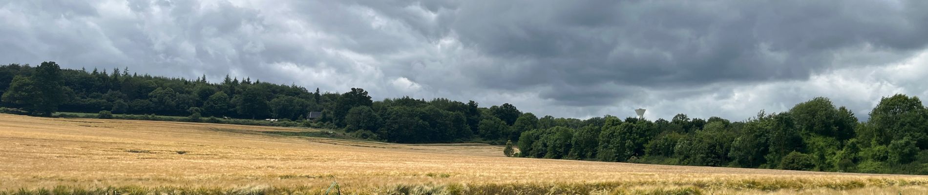 Excursión  Saint-Léger-de-Rôtes - St Léger de R - Photo