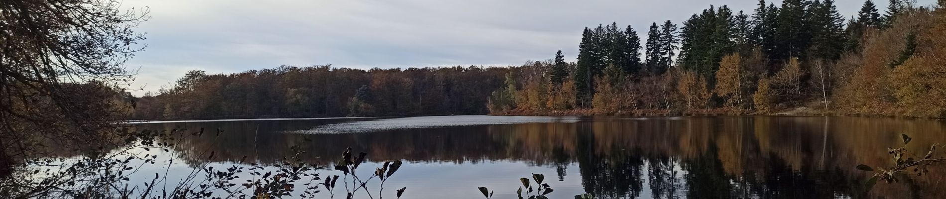 Randonnée Marche Écromagny - reco auj - Photo