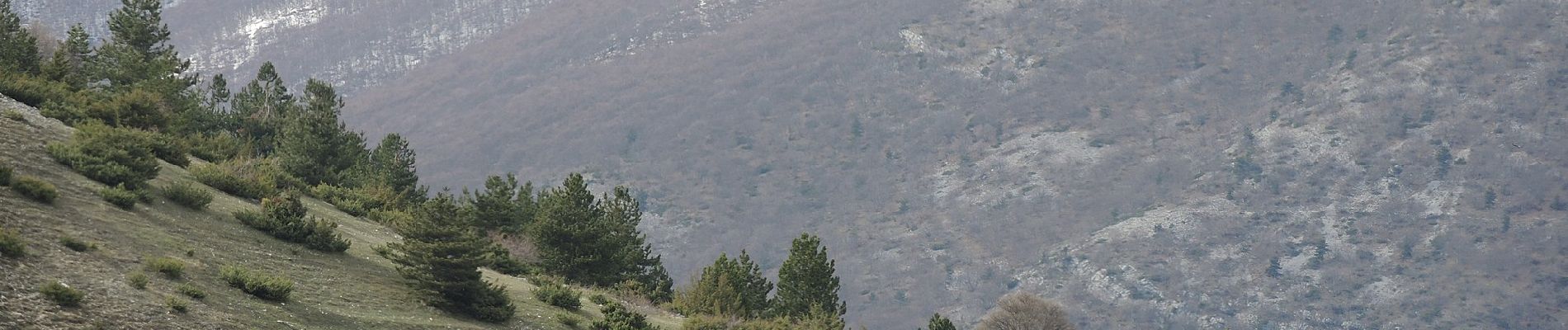 Percorso A piedi Pacentro - Svolte di Pacentro - San Germano - Photo