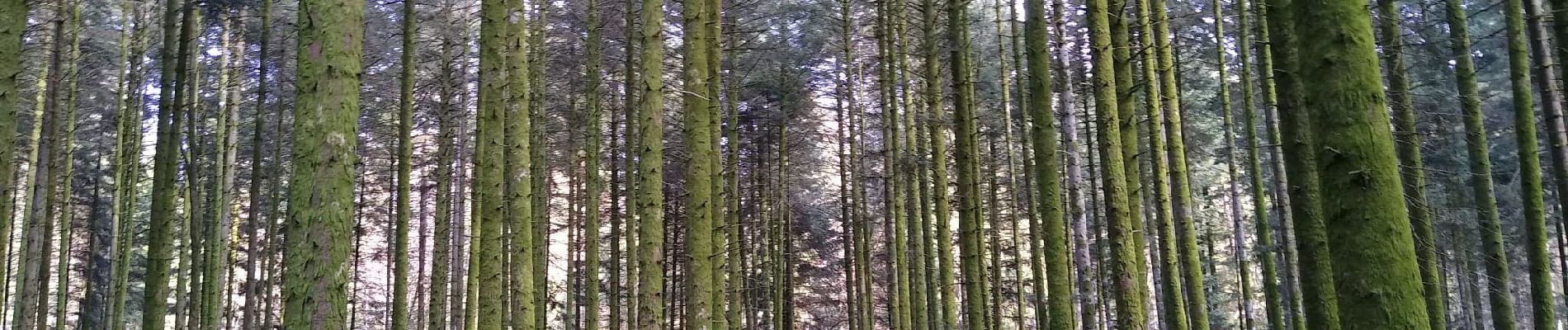 Randonnée Marche Pouxeux - les 3 Communes - Photo