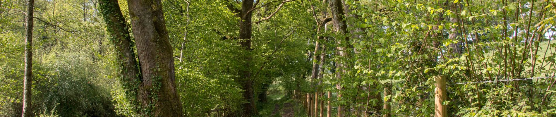 Randonnée Marche L'Hôme-Chamondot - L'Hôme-Chamondot - Monceaux-au-Perche -  17 km - Photo