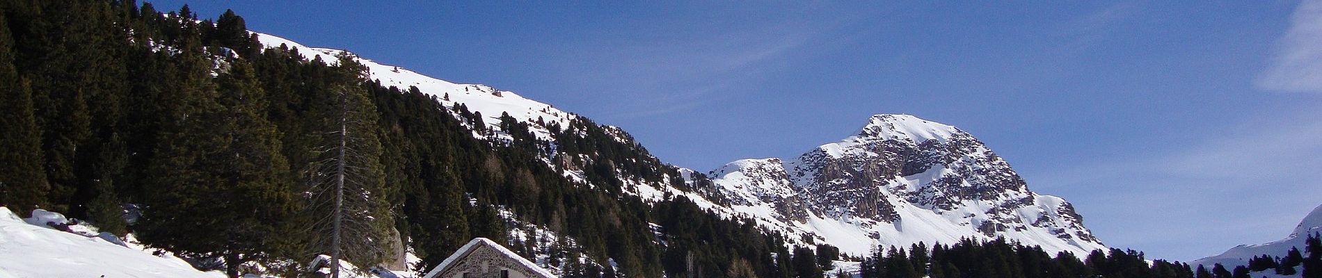 Tour Zu Fuß Scurelle - Sentiero di Val Montalon - Photo