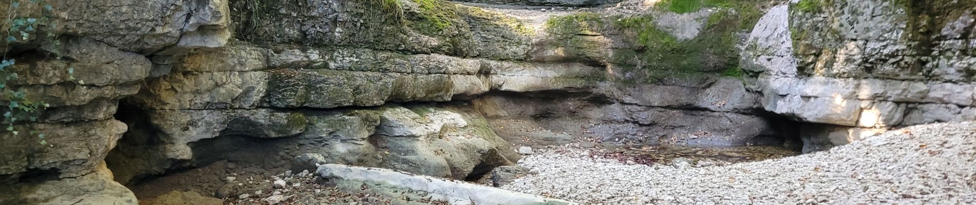 Trail Walking Coyron - coyron - Photo