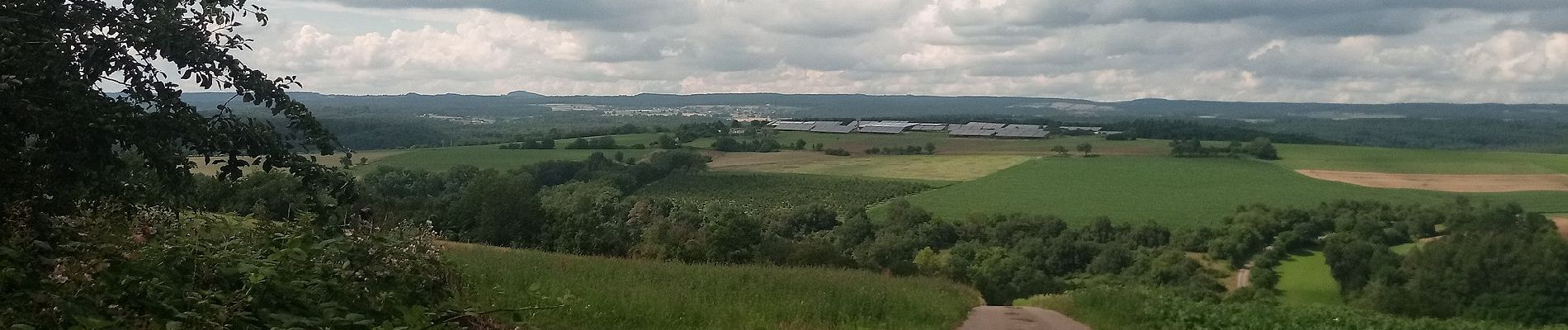 Tocht Te voet Elztal - Rundwanderweg Dallau 2: Lohäcker-Weg - Photo