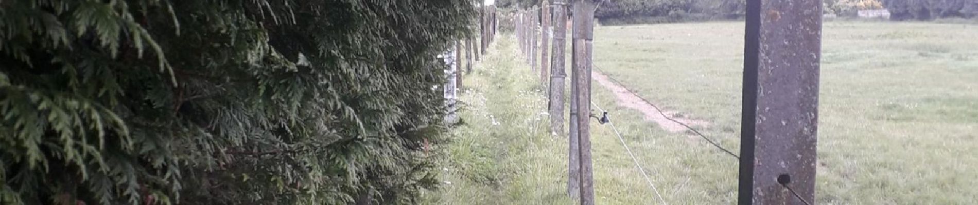 Tocht Lopen Bergen - Marais + Héribus - Photo