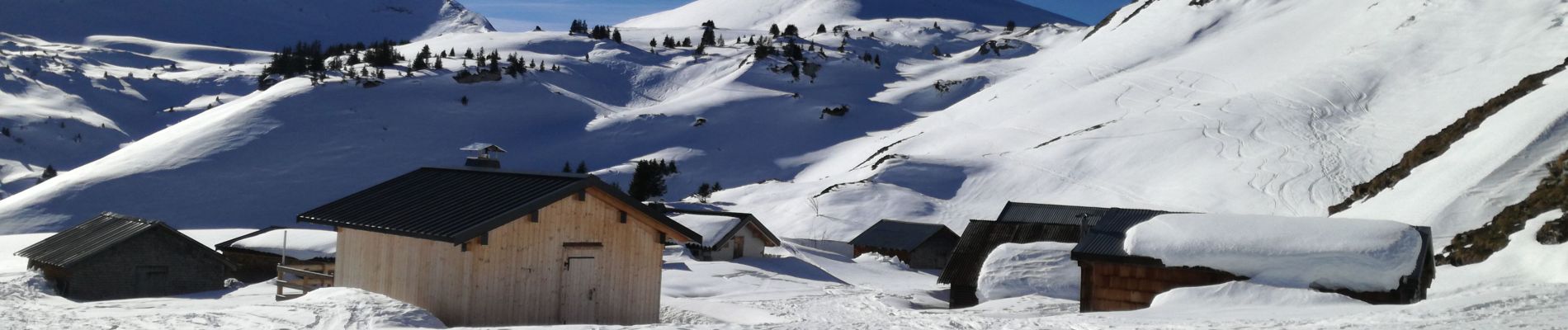 Tour Schneeschuhwandern Nancy-sur-Cluses - Tête de Sallaz et chalet de Vormy - Photo