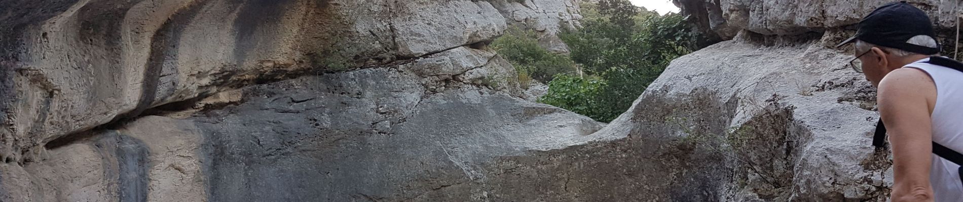 Excursión Senderismo Auriol - Ste Baume - Auriol :  Les trois ravins  - Photo