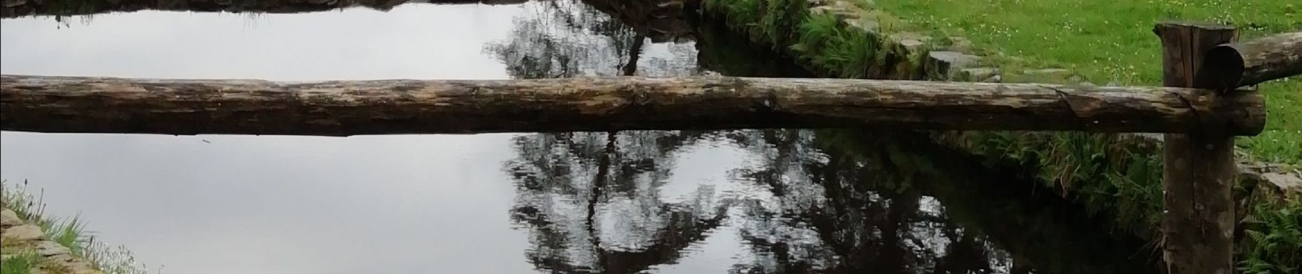 Trail Walking Goulles - Fred BC GOULLES  - Photo