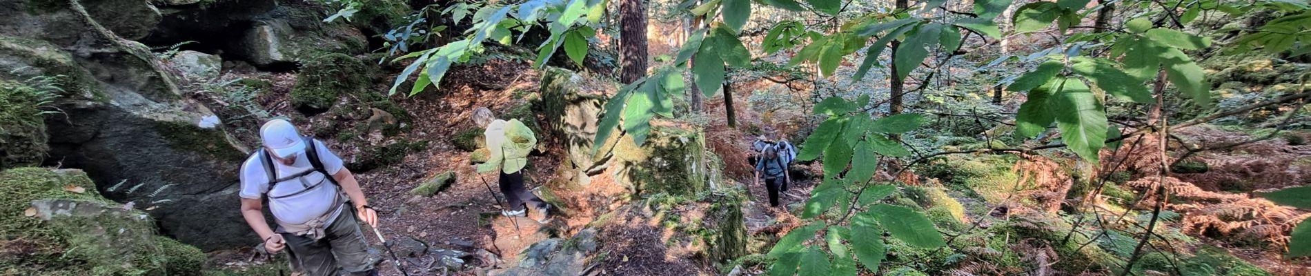 Tocht Stappen Fontainebleau - T1-Grotte Beatrix  - Photo