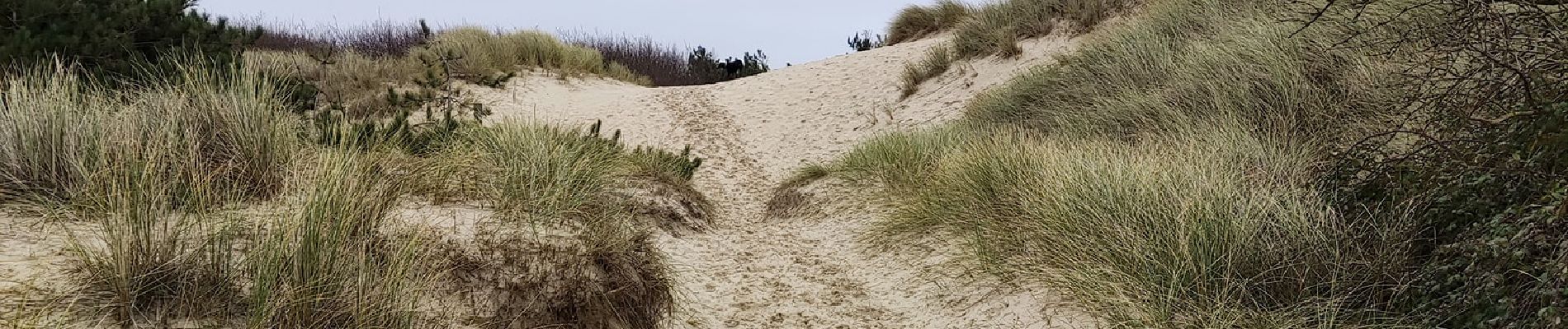 Randonnée Marche Équihen-Plage - Le sentier des dunes   - Photo