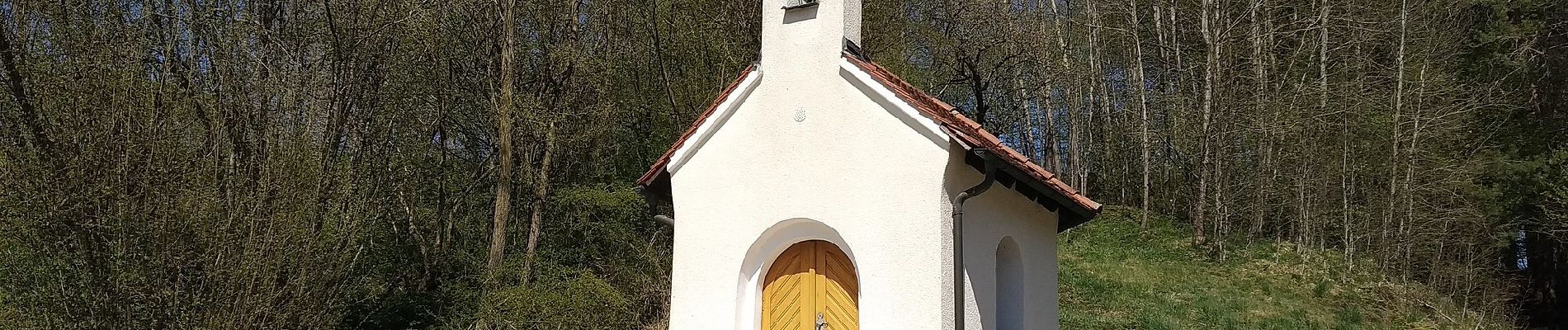 Tour Zu Fuß Deining - Jurasteig Mariahilfschlaufe - Photo