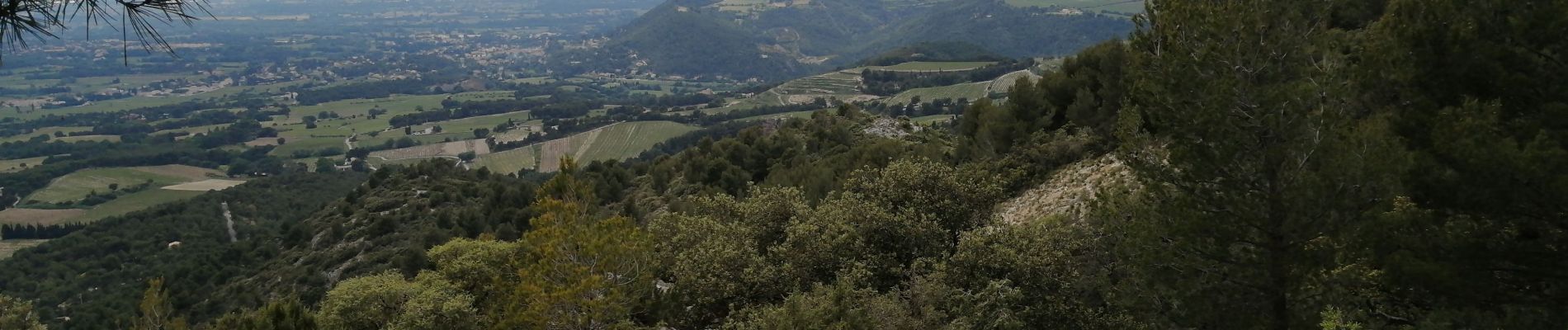 Trail Walking Saint-Hippolyte-le-Graveyron - Le graveron petit circuit  - Photo