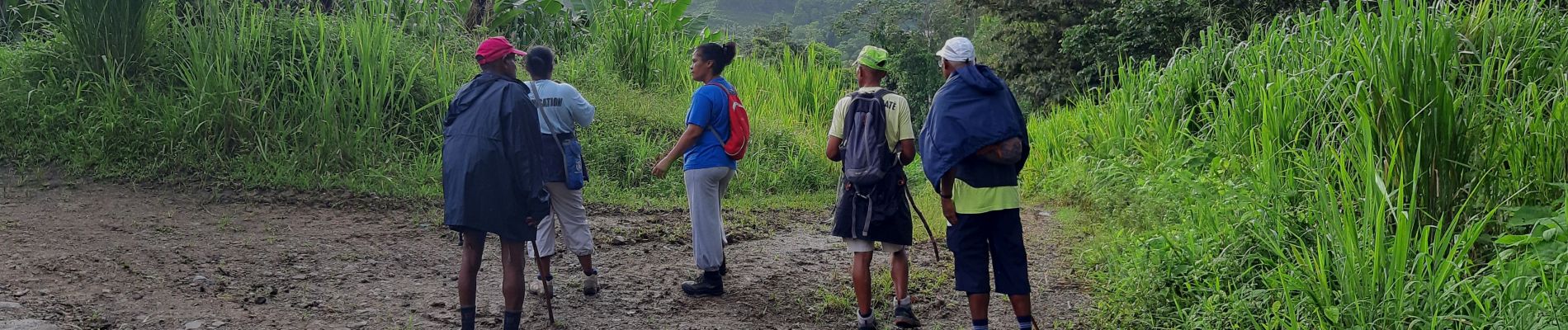 Tour Wandern Le Lorrain - Rando Bananeraie La Rougerie - Photo