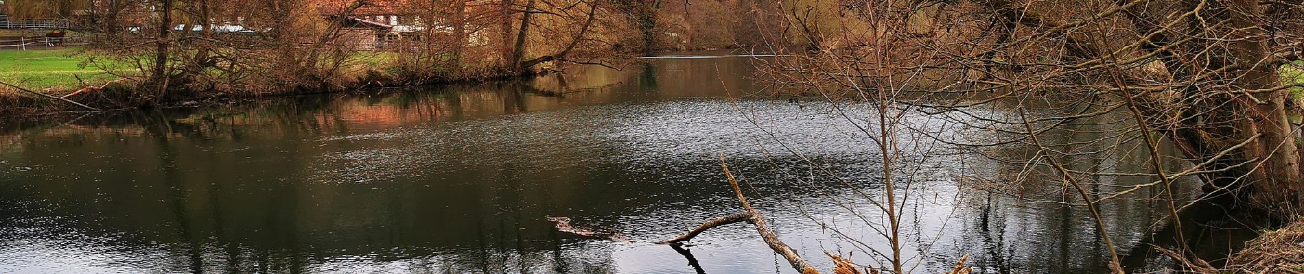 Randonnée A pied Gräfendorf - Ortswanderweg Gräfendorf 5 - Photo