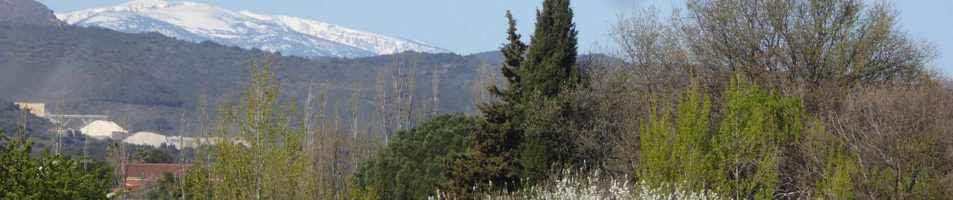 Tour Wandern Llupia - Romarins Tour de Thuir - Photo