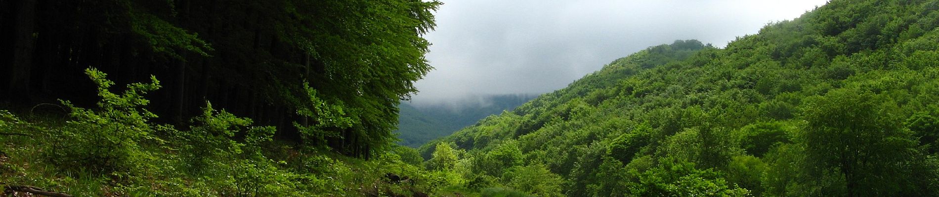 Percorso A piedi Bernecebaráti - S+ (Bernecebaráti) - Photo