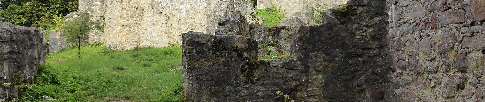 Tour Zu Fuß Stamsried - Rundwanderweg Muehlberg - Photo