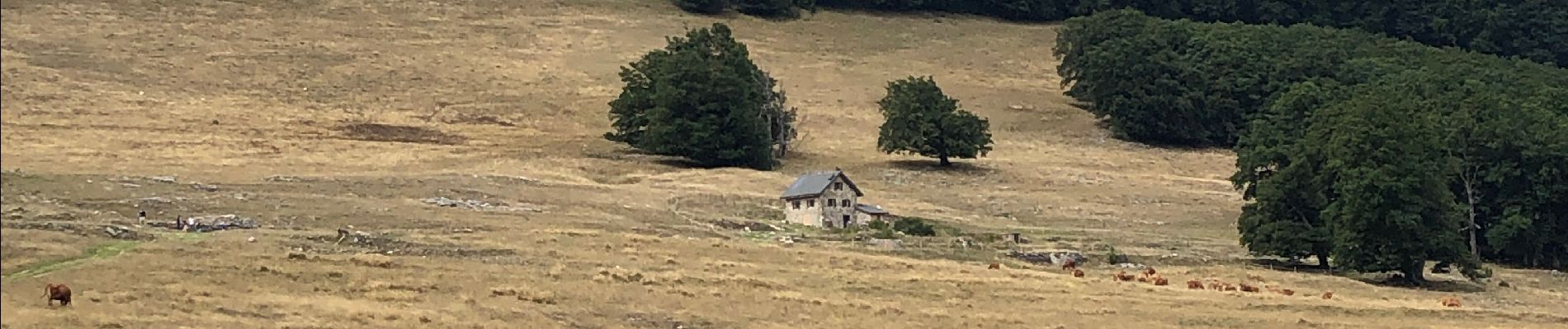 Tocht Stappen Bouvante - Tour du Plateau d’Ambel - Photo