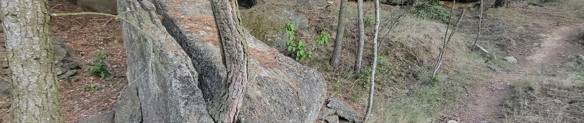 Tocht Stappen Laure-Minervois - Oui mon Capitelle ! 4 niveaux possibles - Photo