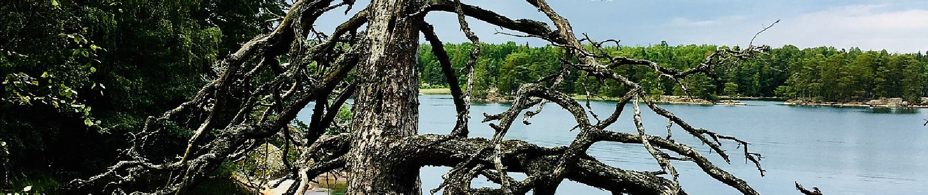 Tour Zu Fuß Unbekannt - Utnäset-Uvviken - Photo