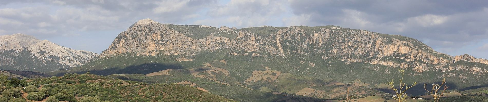 Tour Zu Fuß Lodè - Corru 'e mandra - Badde Viola - Sa 'e Tamponi - Photo