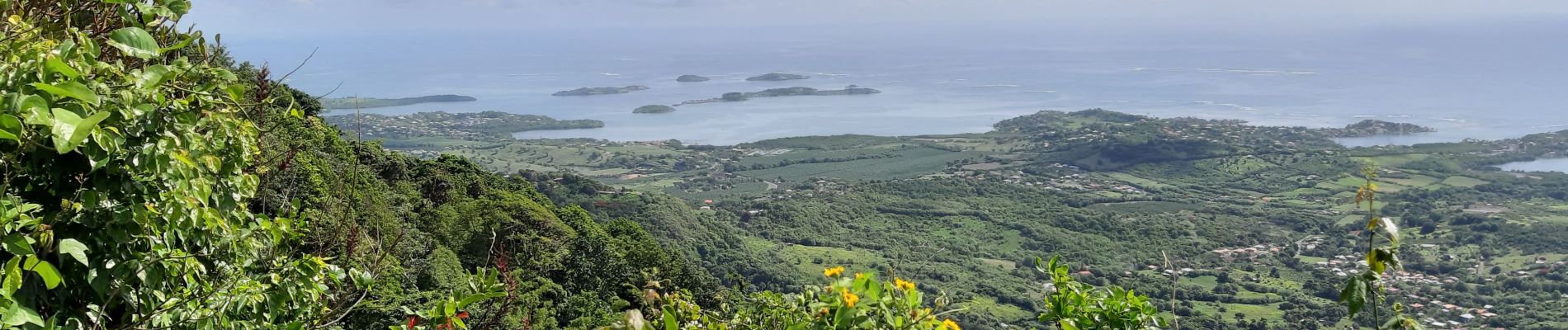 Tour Wandern Le Vauclin - Boucle Montagne Vauclin - Photo