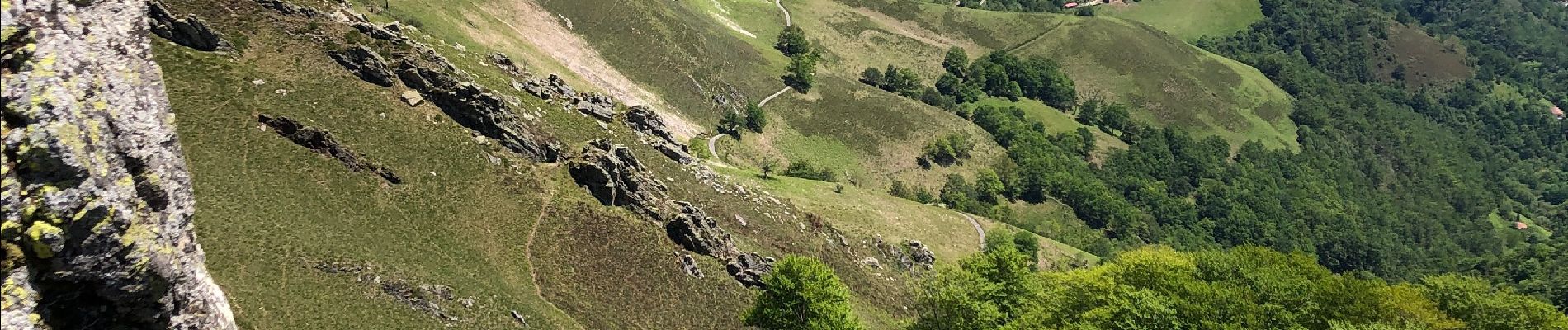 Randonnée Marche Saint-Étienne-de-Baïgorry - 20210520 tour depuis Izpegi - Photo