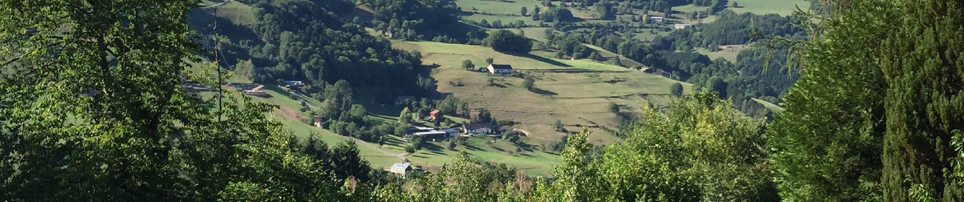 Tour Wandern Schnierlach - La tour du Faudé - Les Alisiers - Photo