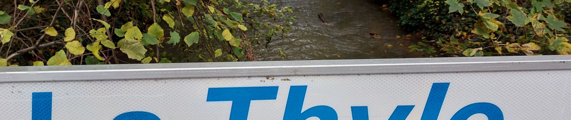 Tocht Stappen Court-Saint-Étienne - En passant par les têtes de bois. - Photo