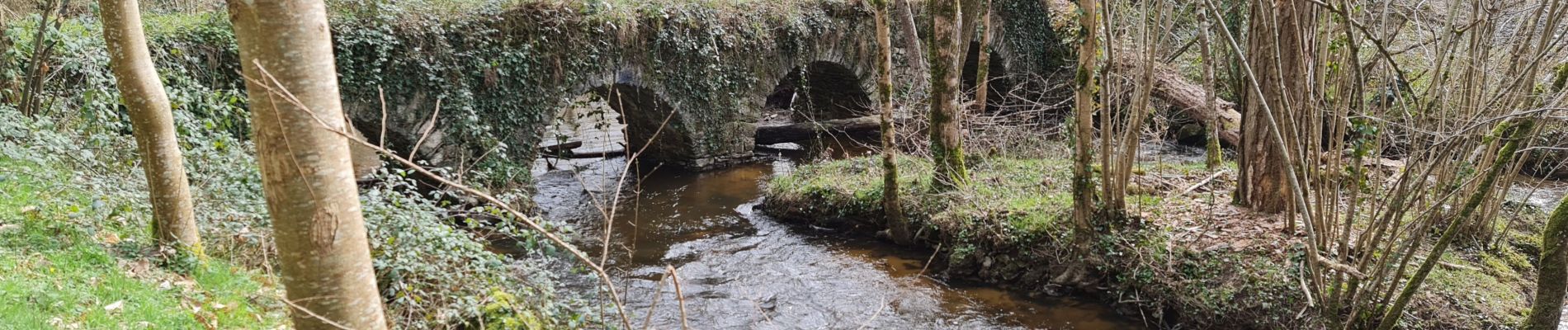 Tour Wandern Berneuil - Berneuil  - Photo