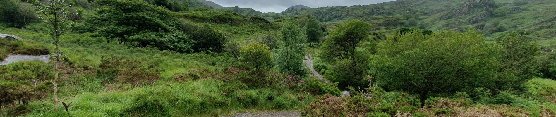 Trail Walking Kenmare Municipal District - Gowlane - Killarney (Abbey Cross) - Photo