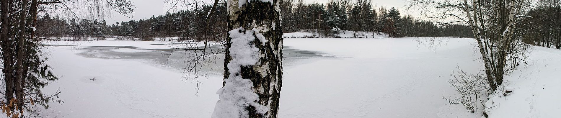 Tocht Te voet Forst Kleinschwarzenlohe - Jägersee Bienenweg No.2 - Photo