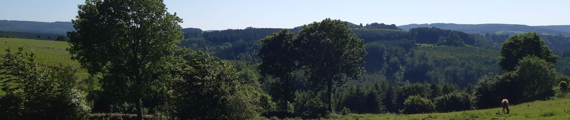 Tour Wandern Stoumont - stoumont . corniche - congo . chateau froidcourt . ambleve . stoumont - Photo