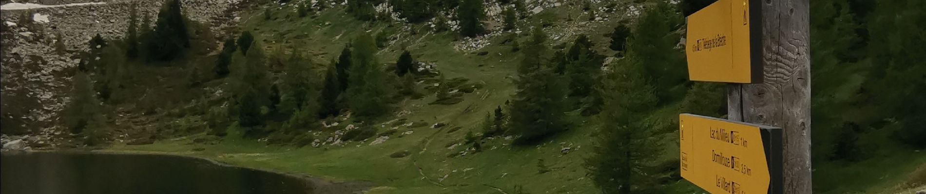 Trail Walking Seyne - dormillouses...au col bas 04 - Photo