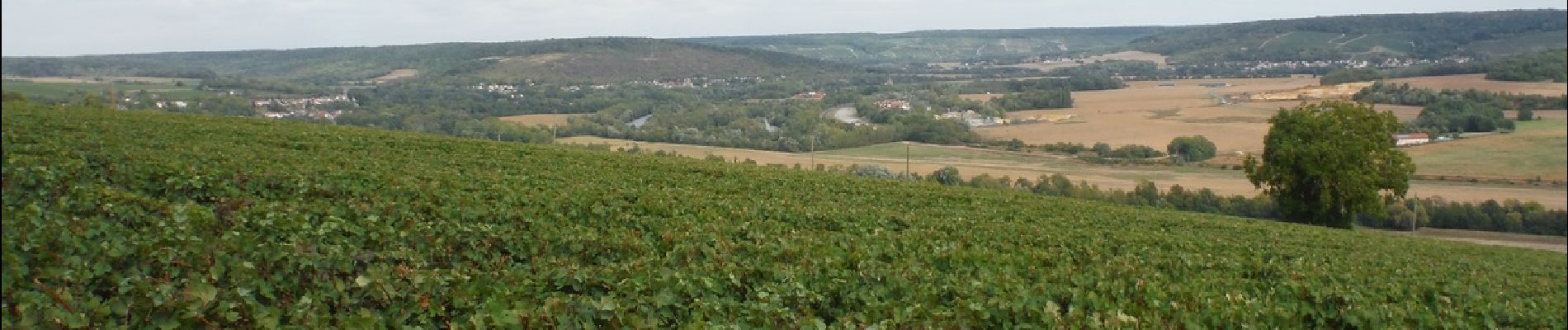 Excursión Senderismo Château-Thierry - Château Thierry par Brasles du 03/09/2020 - Photo