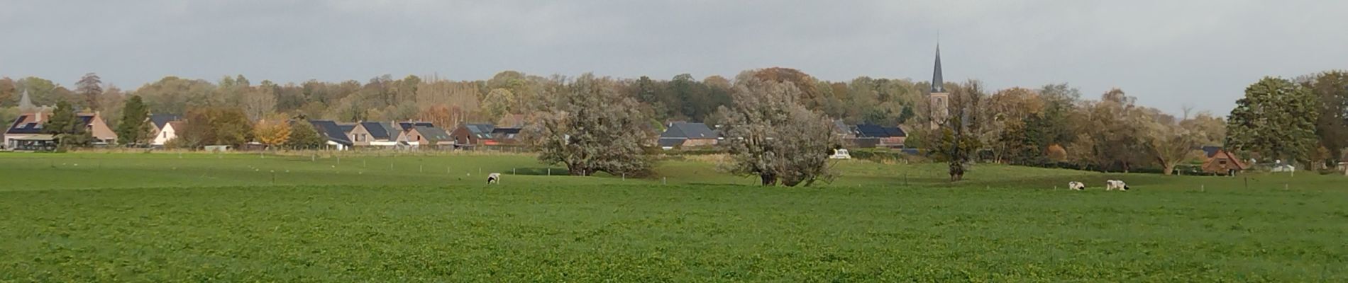 Tocht Stappen Zinnik - Promenade Piedescaus Thieusies - Photo